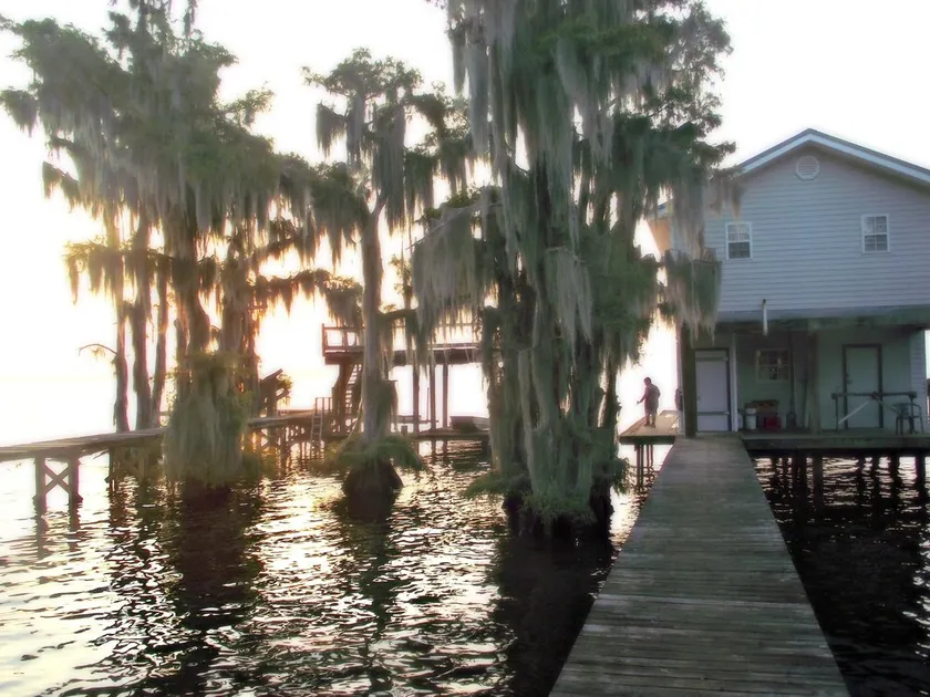 Pierre Part, Louisiana - Image 1