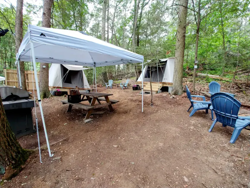 Rare, peaceful glamping, hot shower, mini golf near appalachian trail - Image 1