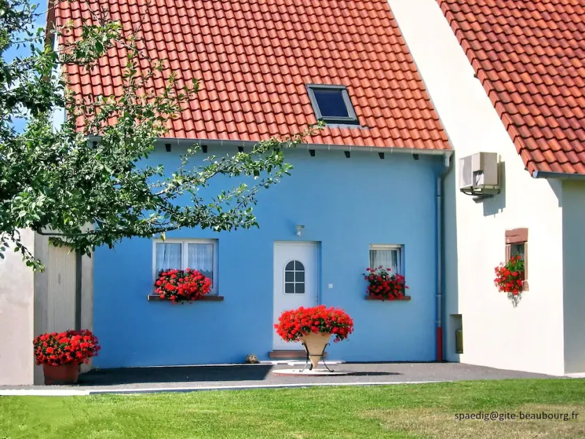 Neues Ferienhaus im schönen krummen Elsass. Am Waldrand und voll in der Natur. - Image 1