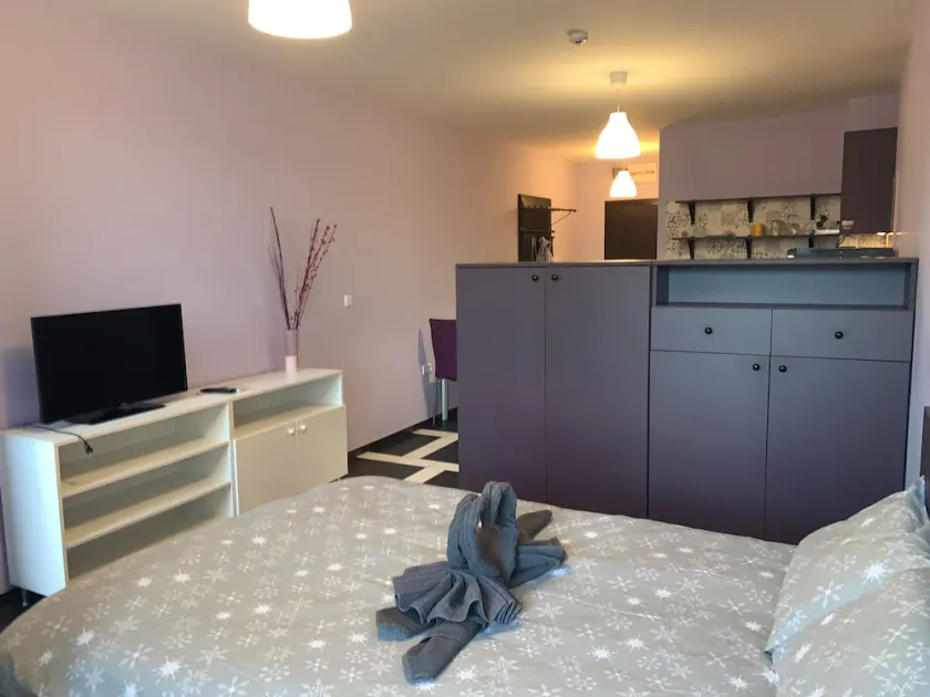 Cozy apartment, 20 min from Sofia City Centre - Image 1