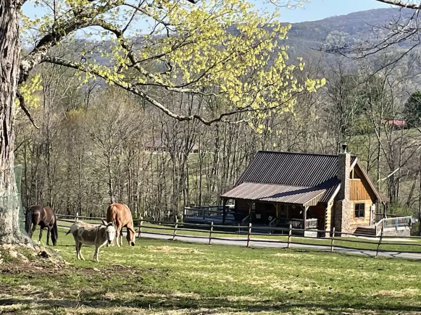 Romantic \"Morning Glory” for 2 has a tranquil setting across from a horse farm! - Image 1