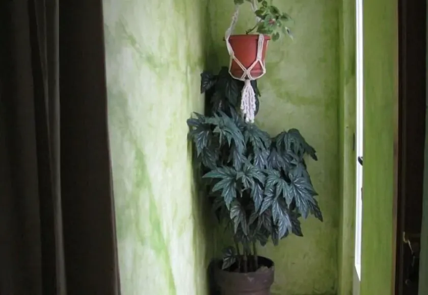 Guarantee apartment - Image 1