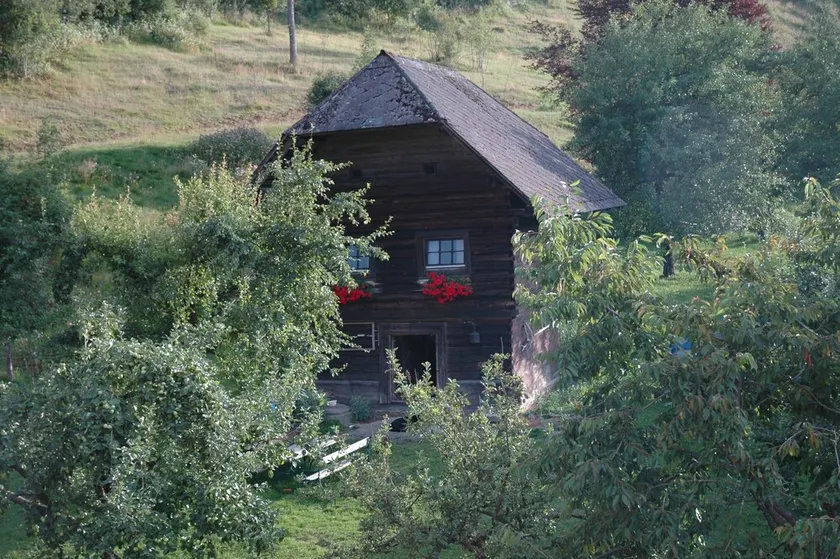 Urige Hütte am Bauernhof in Kärnten, großer Badeteich, Haustiere willkommen - Image 1