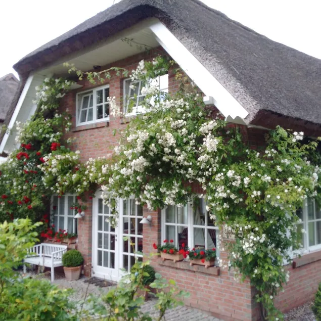 Exclusive 5-star vacation home under thatch - directly near Binz - Image 1
