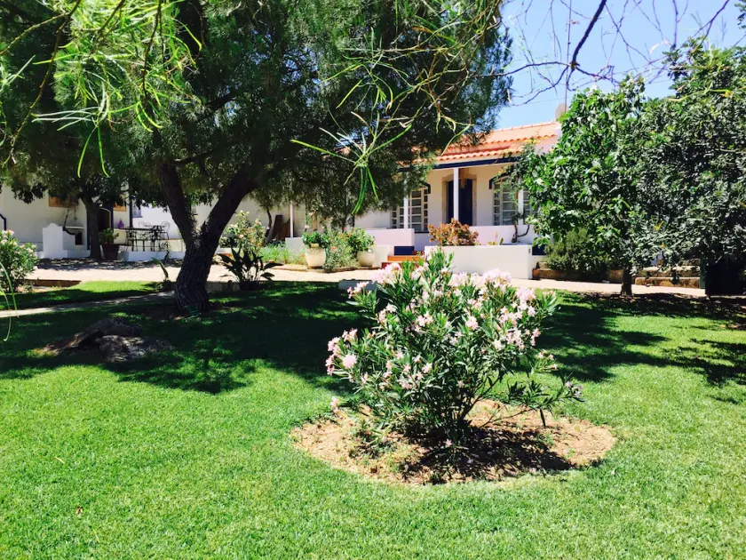Vale de Camelos Country House, Alentejo, Portogallo. - Image 1