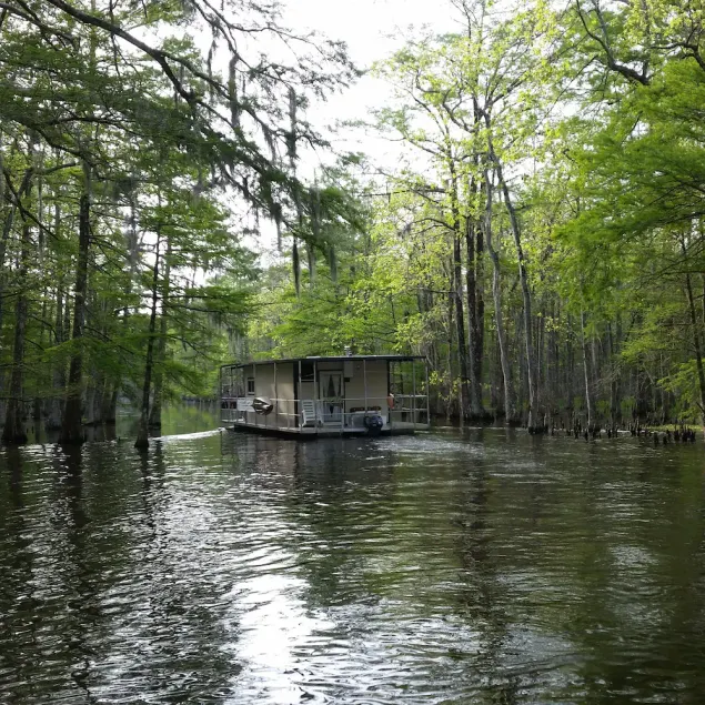 Entdecken Sie die Bayous von South Louisiana! - Image 1