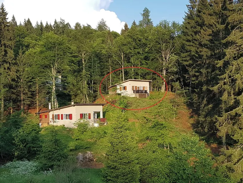 Ferienhaus am Waldrand! Ein Paradies für Naturliebhaber, Wanderer und Radfahrer - Image 1