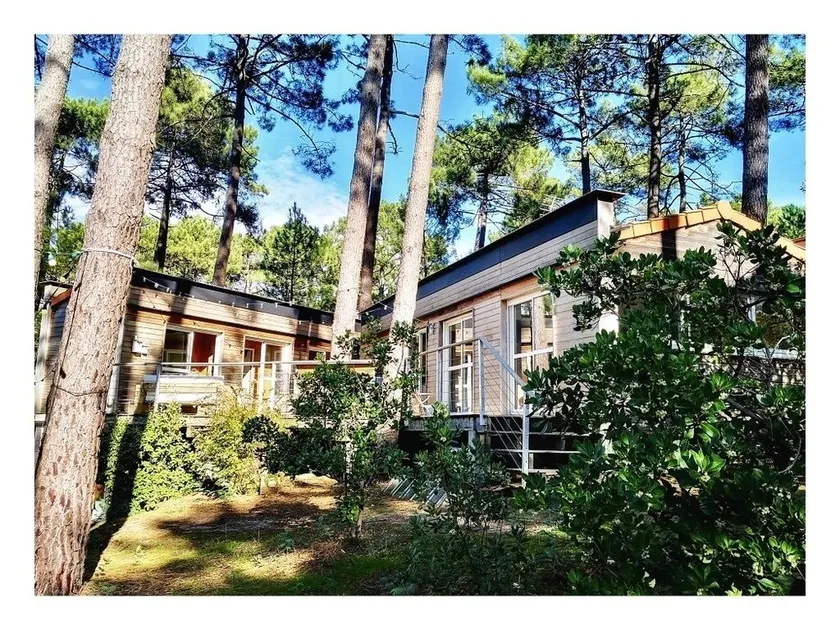 Maison dans les pins entre lac et océan - Image 1