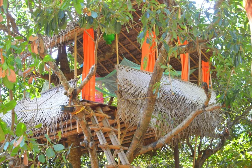 Namaste Yoga Farm - Image 1
