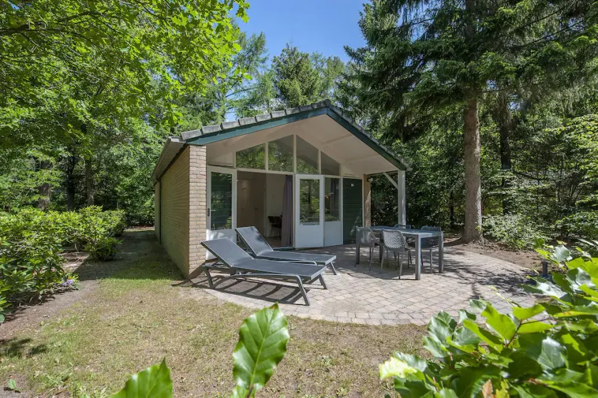 Designer Chalet in the Veluwe - Image 1