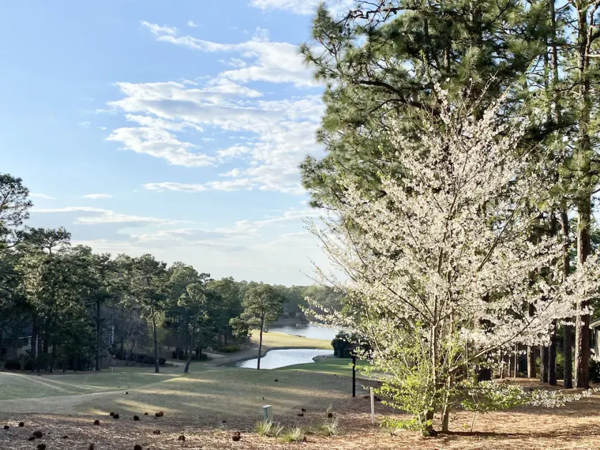 Golf Front SFH, 3 BR, 2 BA, 4 beds, sleep 6 on Pinehurst #6 - Image 1