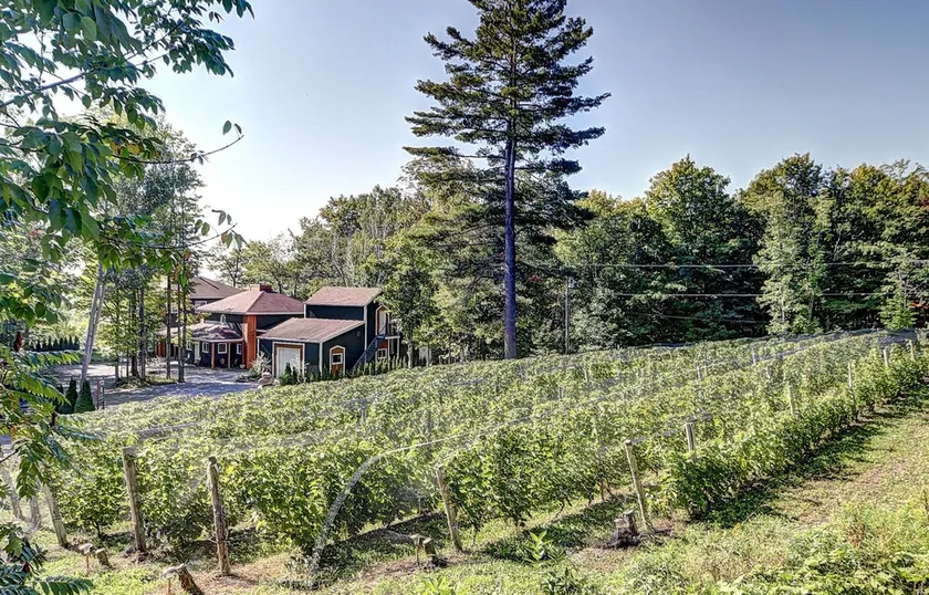 Vignoble du Domaine des 3 Moulins à 20 Min. de Qc - Image 1