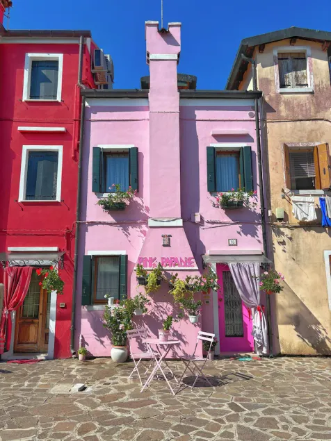 Pink Paradise - Image 1