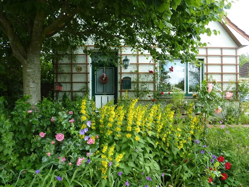 Garden idyll at the Wadden Sea National Park - Image 1