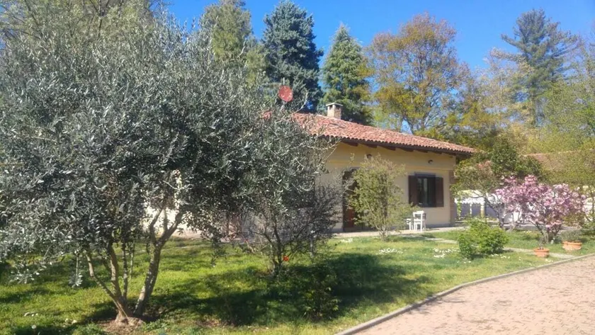 La Quercia Holiday Home and the Olive Tree - Image 1