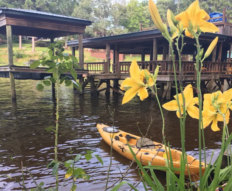 En gang i en levetid Toledo Bend - Image 1