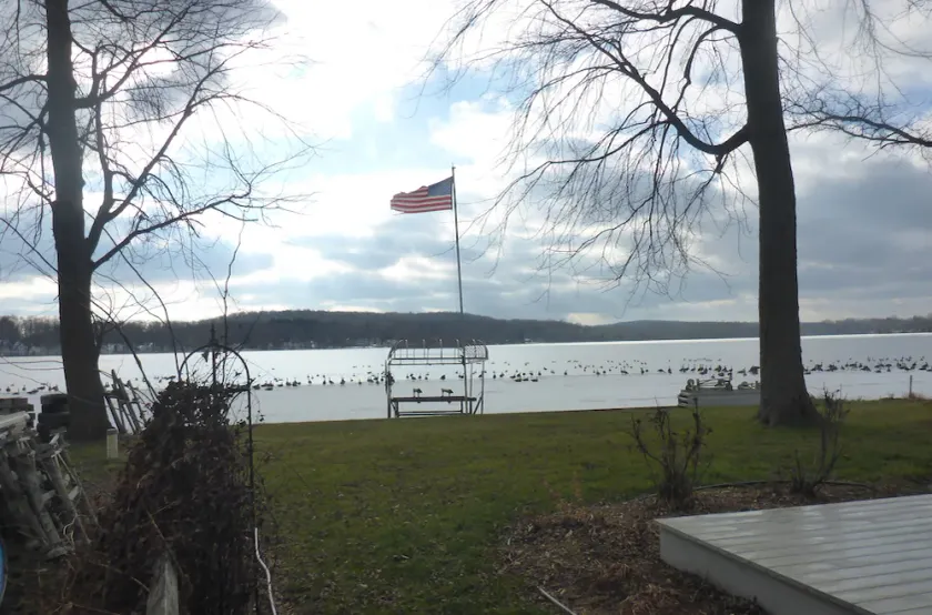 Baseline Lakefront - Beautiful views, shallow swimming area - Huron chain with 7 lakes - Image 1