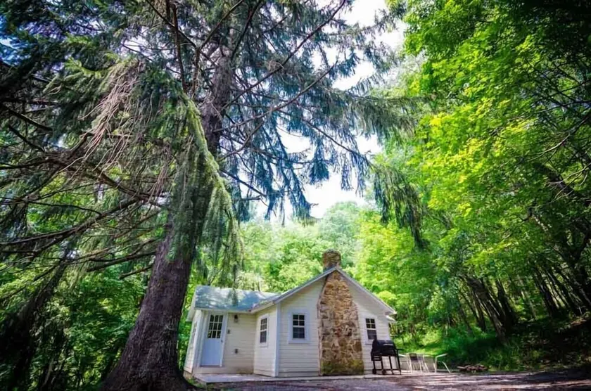 Place in the Pines - Mountain Escape for 2 - Image 1