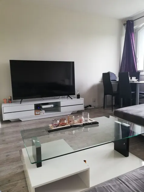 Stunning Apartment in the Heart of Pau - Image 1