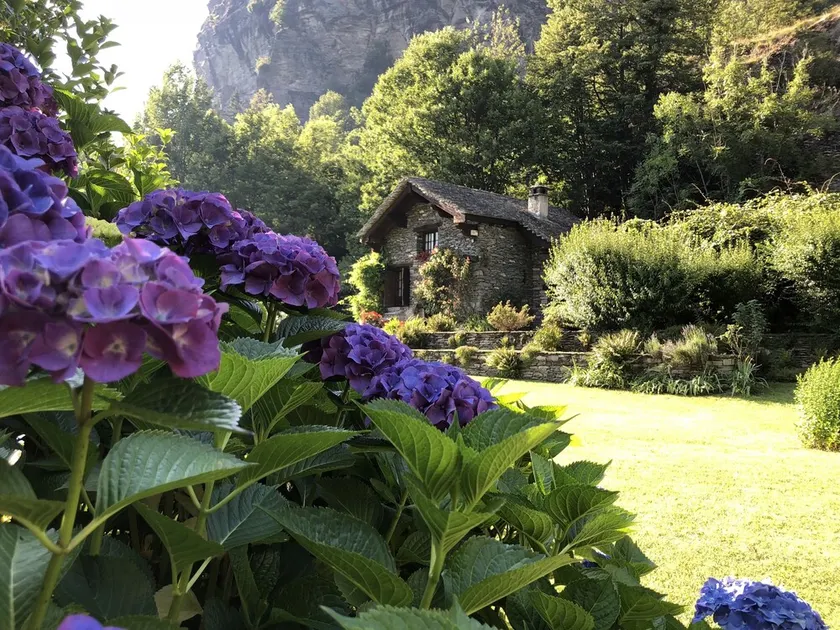 Chalet La Baita - Image 1