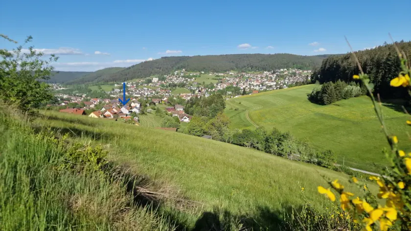BAIERSBRONN, Schwarzwald, Aussicht, 2 Zimmer, Sonne - Image 1
