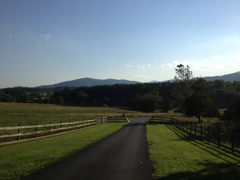 Pete's Place: Forest retreat near wineries, Blue Ridge School, and Shenandoah NP - Image 1