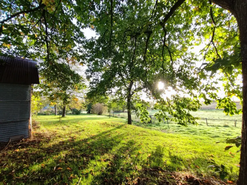 The potter entrusts you with his country home - Image 1