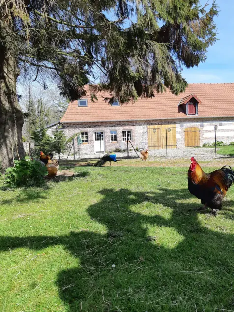 Small detached house in quiet village 3 kms from the beach - Image 1