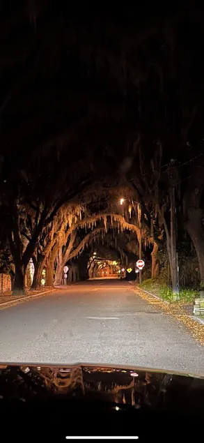 Magnolia Ave Peacock House Fountain of Youth, 4 min to beach & Downtown - Image 1