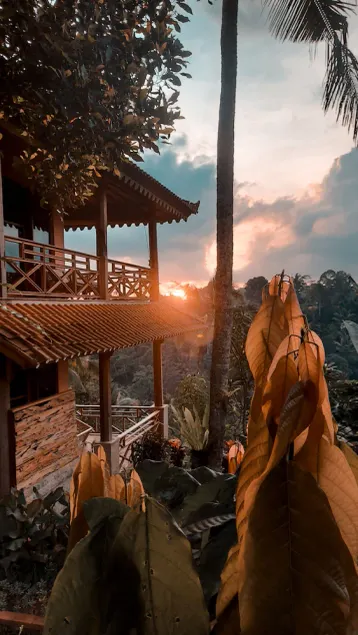 Nature surrounded villa,in a vanilla organic orchard.. - Image 1
