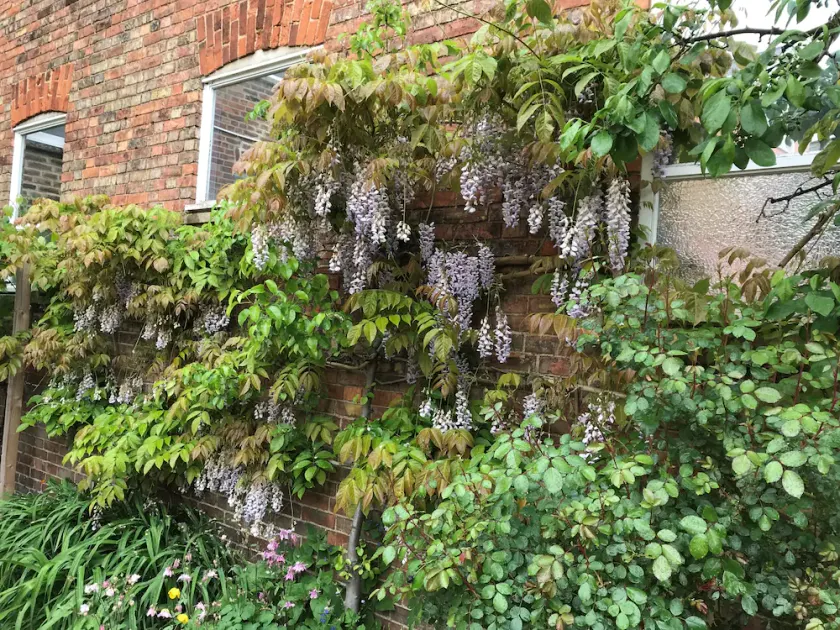 The Old Bookbinders Retreat - Image 1