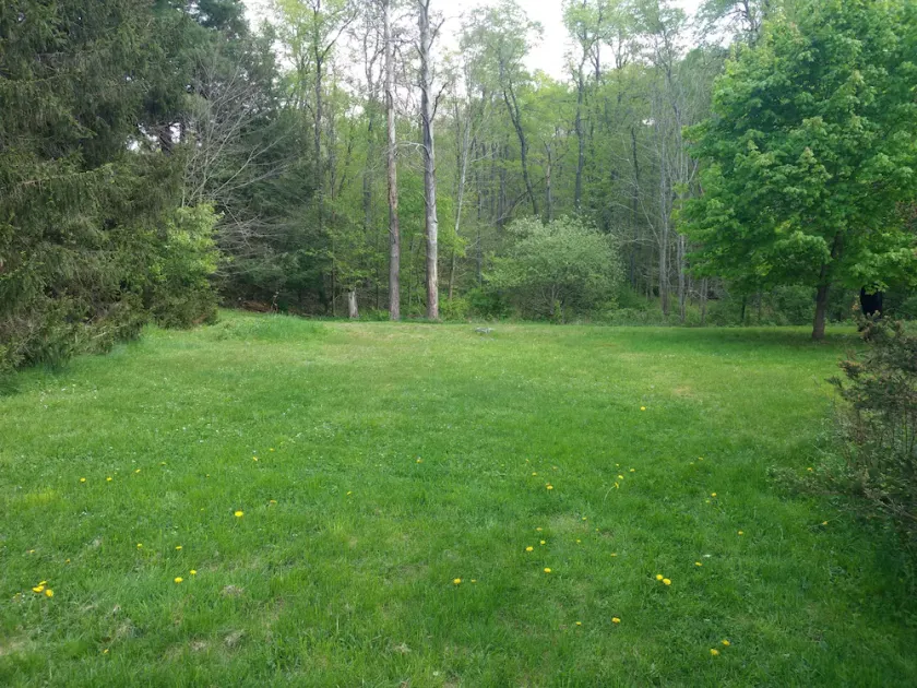 Serene Creek Frontage - Image 1