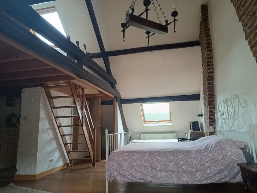 La maison des chiens - Image 1
