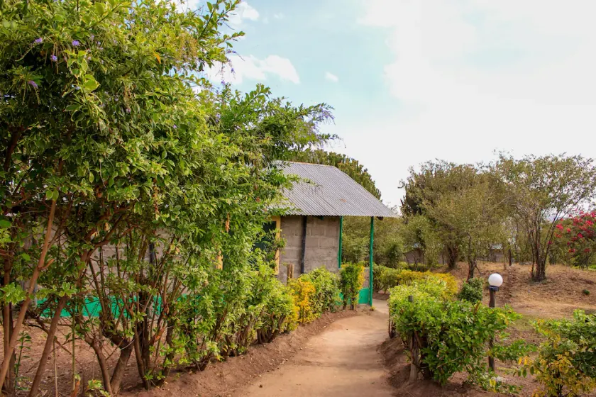 Eco mara forest camp - Image 1