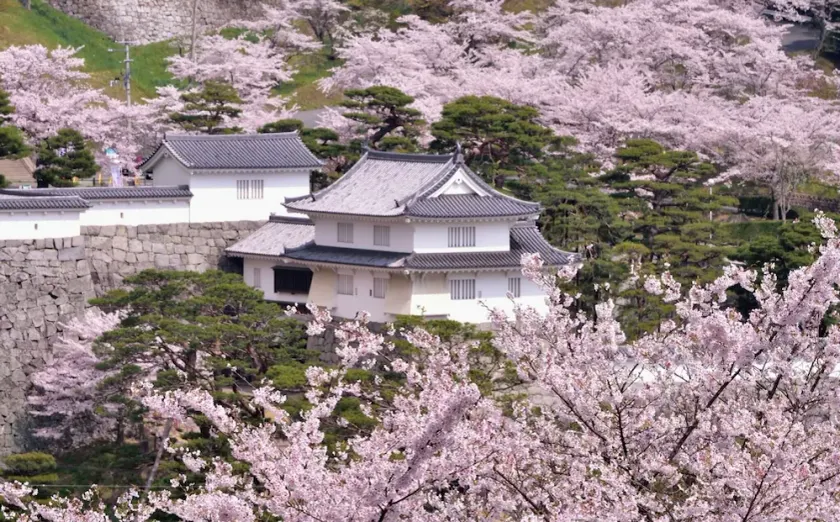 Urban Hotel Nihonmatsu - Image 1