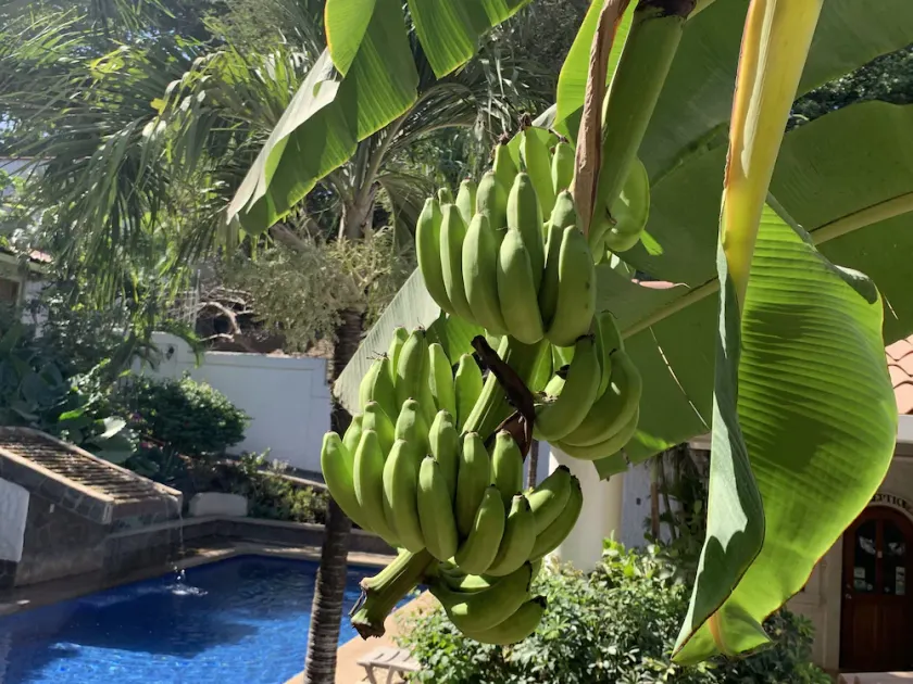 Hotel Flores - Adults Only - Image 1