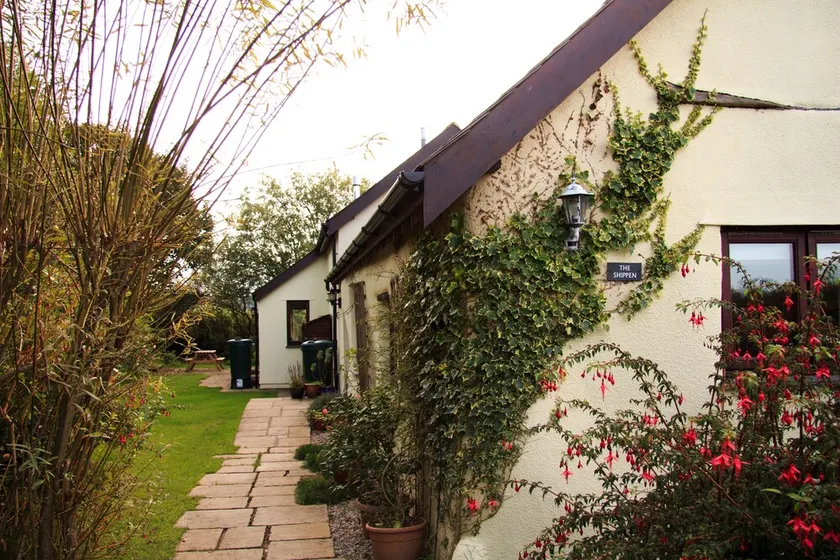 Peaceful Cottage in Rural North Devon, near the Ocean - Image 1