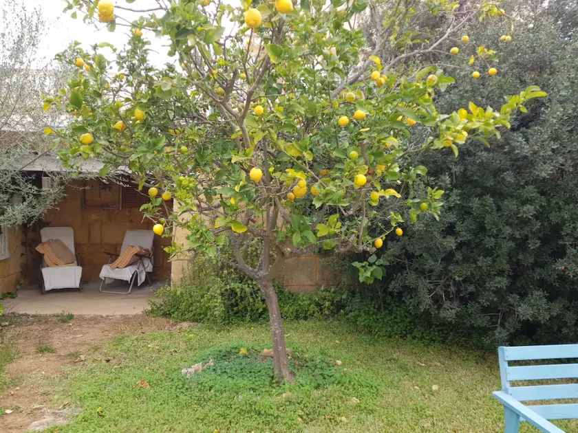 Casita sud de pêche de l'île - Image 1