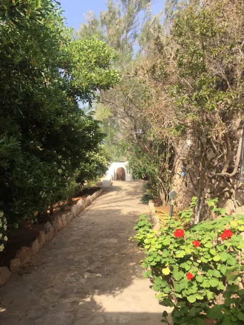 An oasis in the most beautiful sea in the world - Image 1