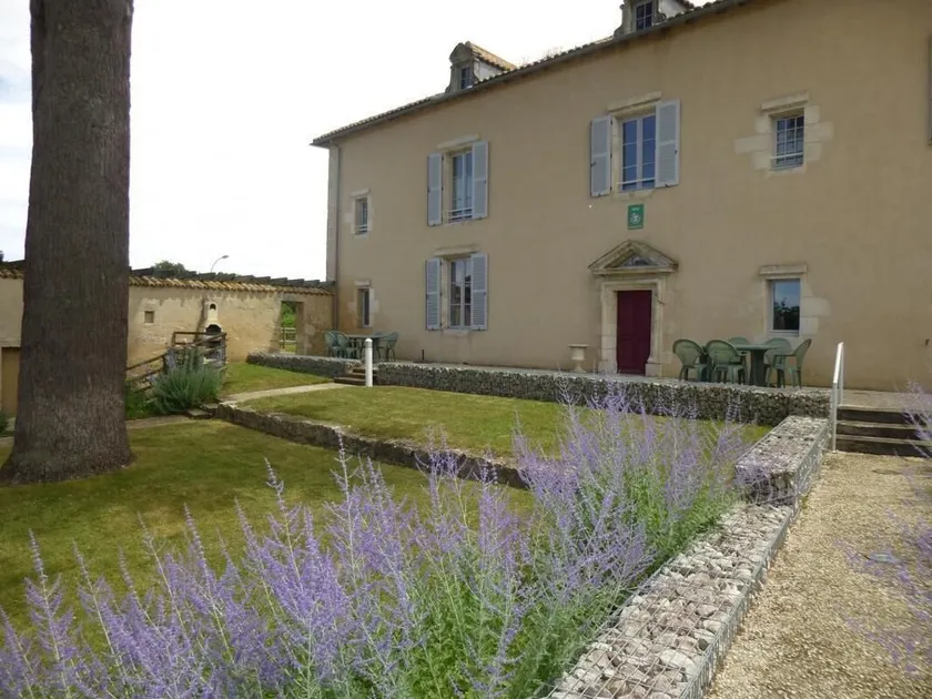 Les coquelicots - Image 1