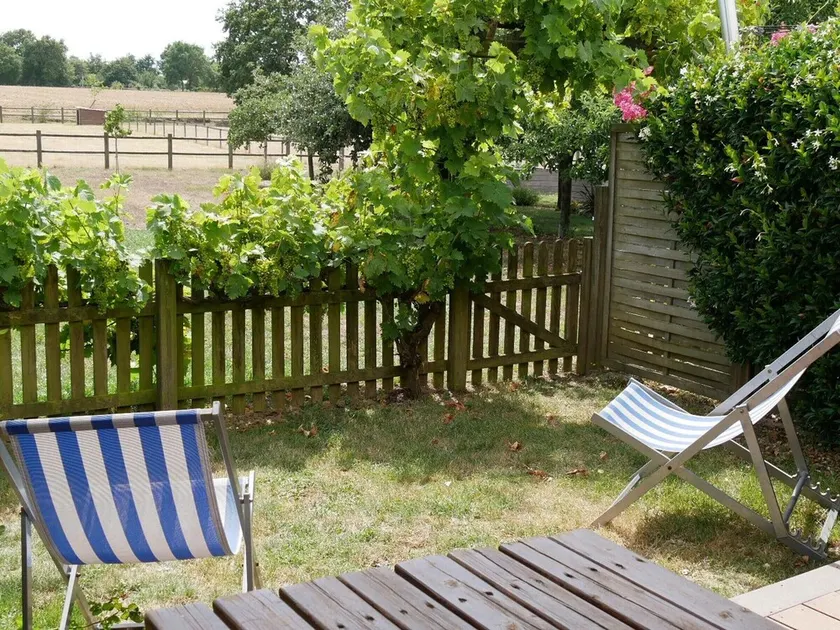 Luxury Vineyard Cottage with Modern Amenities Near Nantes - Image 1