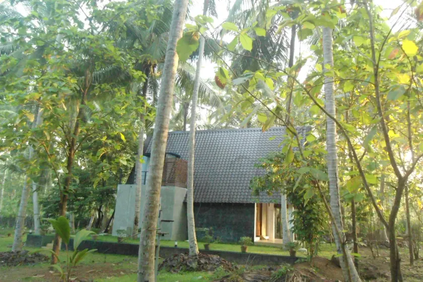 Deluxe bungalow with free airport pickup - Image 1