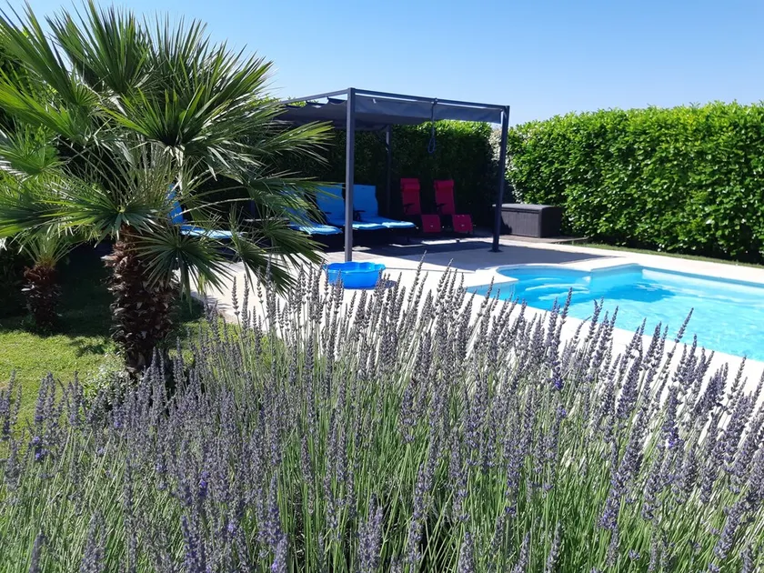 Stilvolle bequemen französisch-Farm mit einem beheizten Pool. Vineyards. Familienfreundlich - Image 1