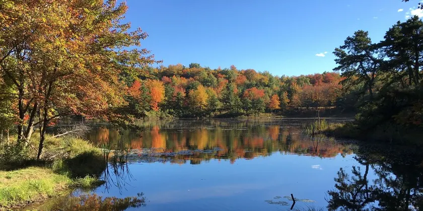 Family Sees Flucht in den Poconos - Image 1