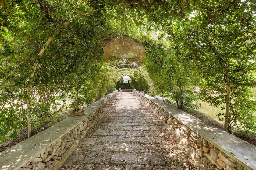 3376 Masseria Cucuruzza - Superior Dora - Image 1