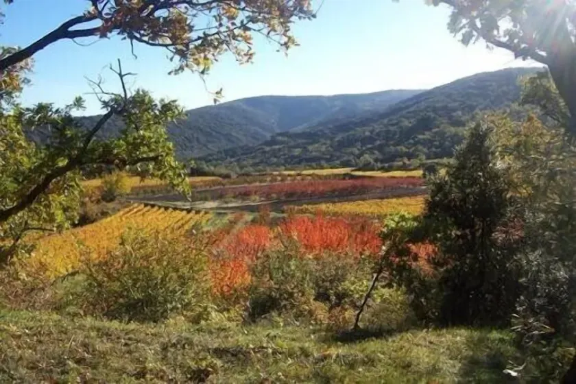 I Méthamis, gite i renoveret del af provencalske bondegård, sydlige ventoux, natur - Image 1