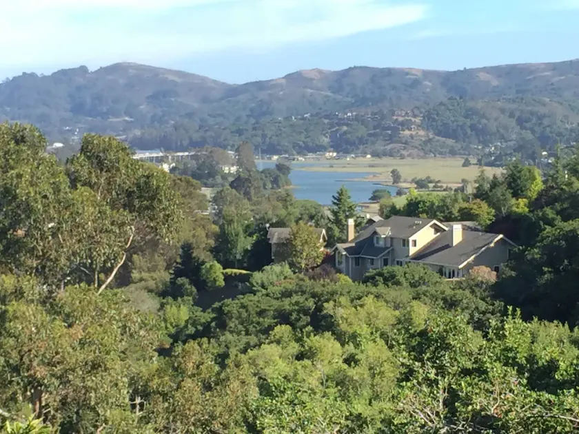 Hyggeligt Studio i Hills of Mill Valley. - Image 1