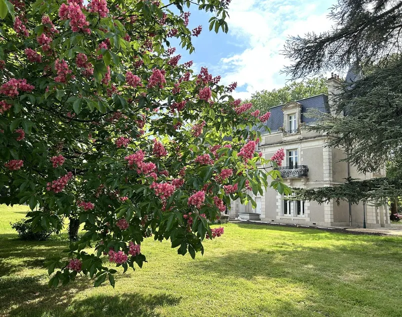 Chateau med opvarmet pool, sauna i nærheden af Poitiers og vinmarkerne i Chinon - Image 1
