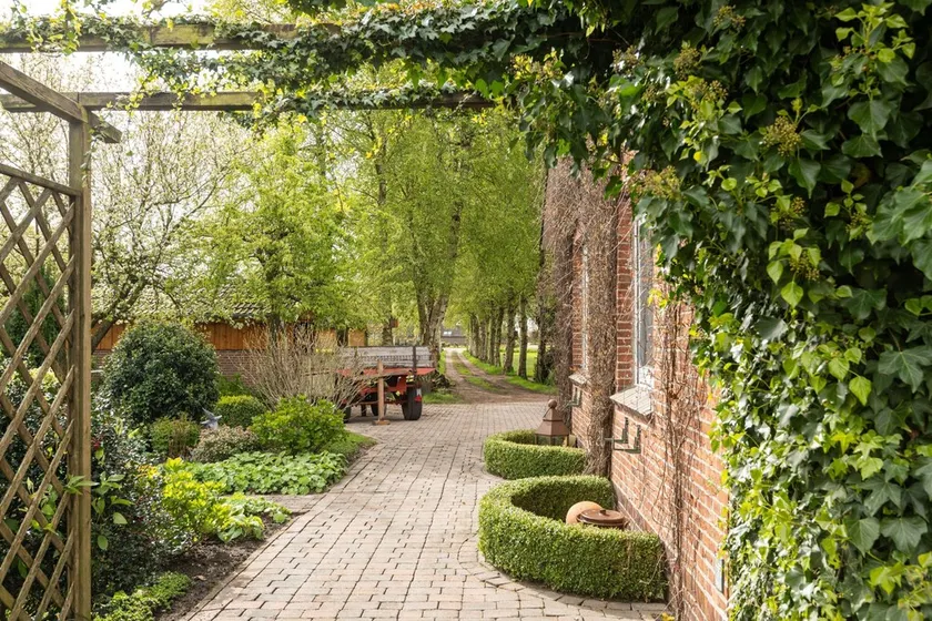 Appartamento al piano terra, Birken-Allee 35181 - Appartamento Birch Alley - Image 1