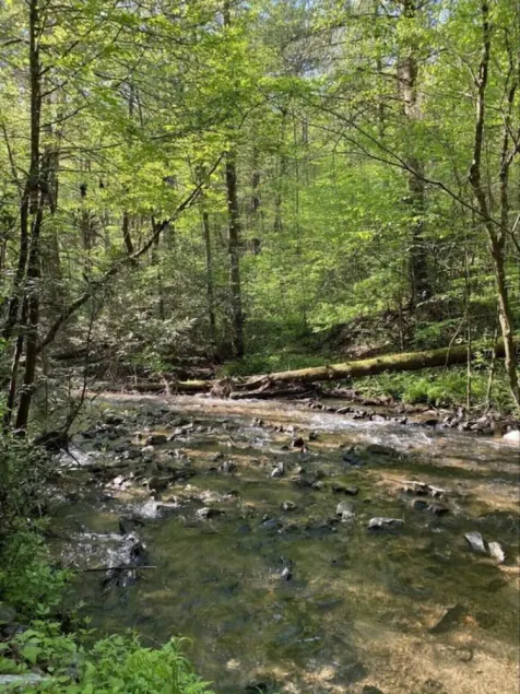 Secluded Log Cabin and Rushing Creek- Dogs Welcome - Image 1